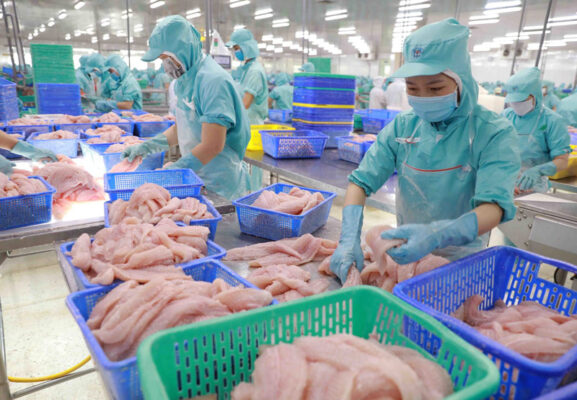 xuất khẩu cá tra