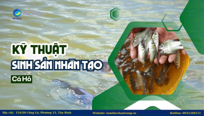 Kỹ Thuật Sinh Sản Nhân Tạo Cá Hô