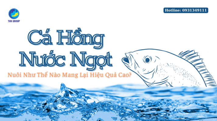 Cá Hồng Nước Ngọt Nuôi Như Thế Nào Mang Lại Hiệu Quả Cao? 