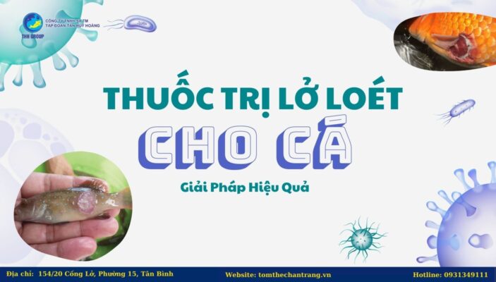 Thuốc Trị Lở Loét Cho Cá - Giải Pháp Hiệu Quả 