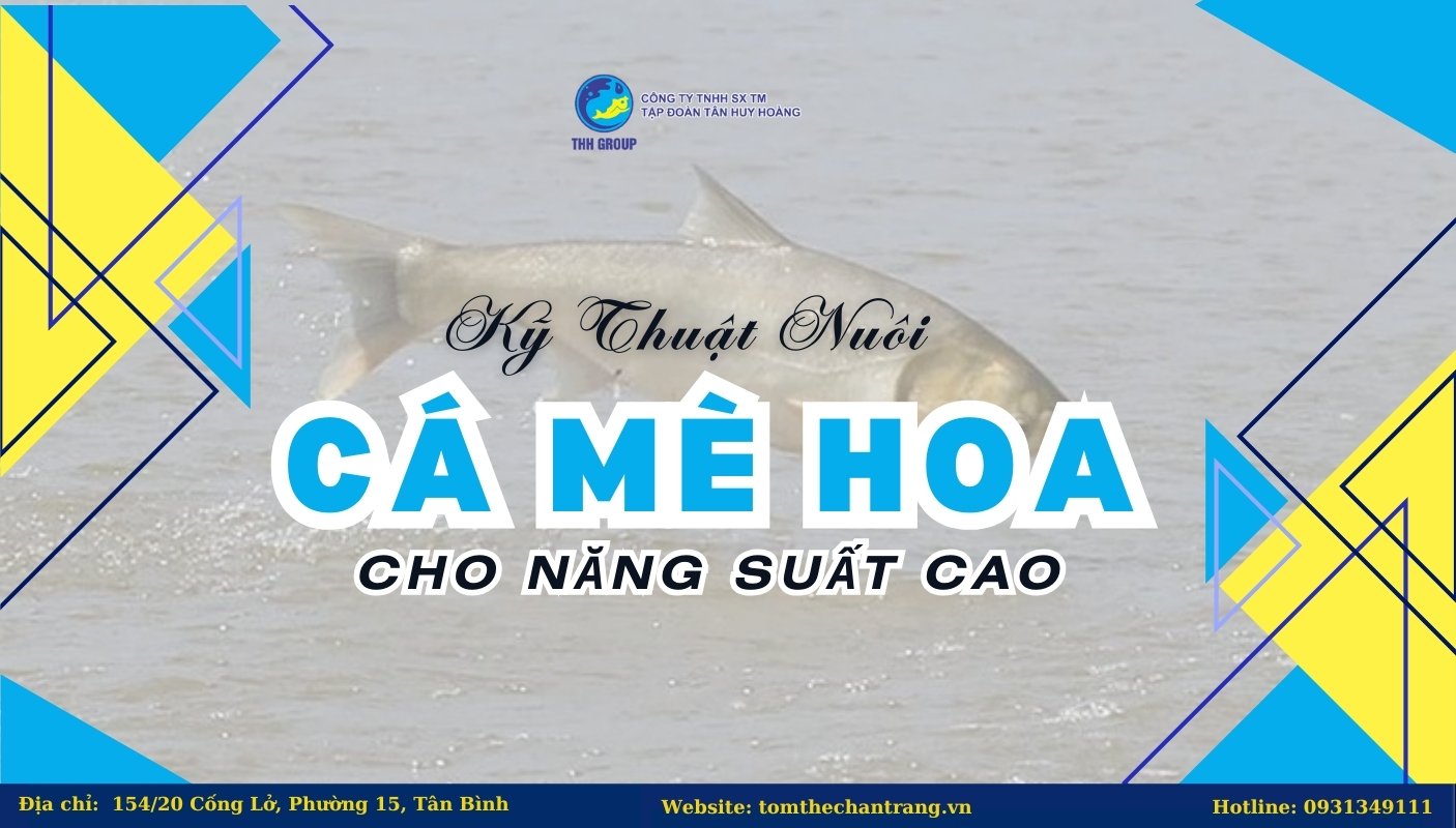 Kỹ Thuật Nuôi Cá Mè Hoa Cho Năng Suất Cao