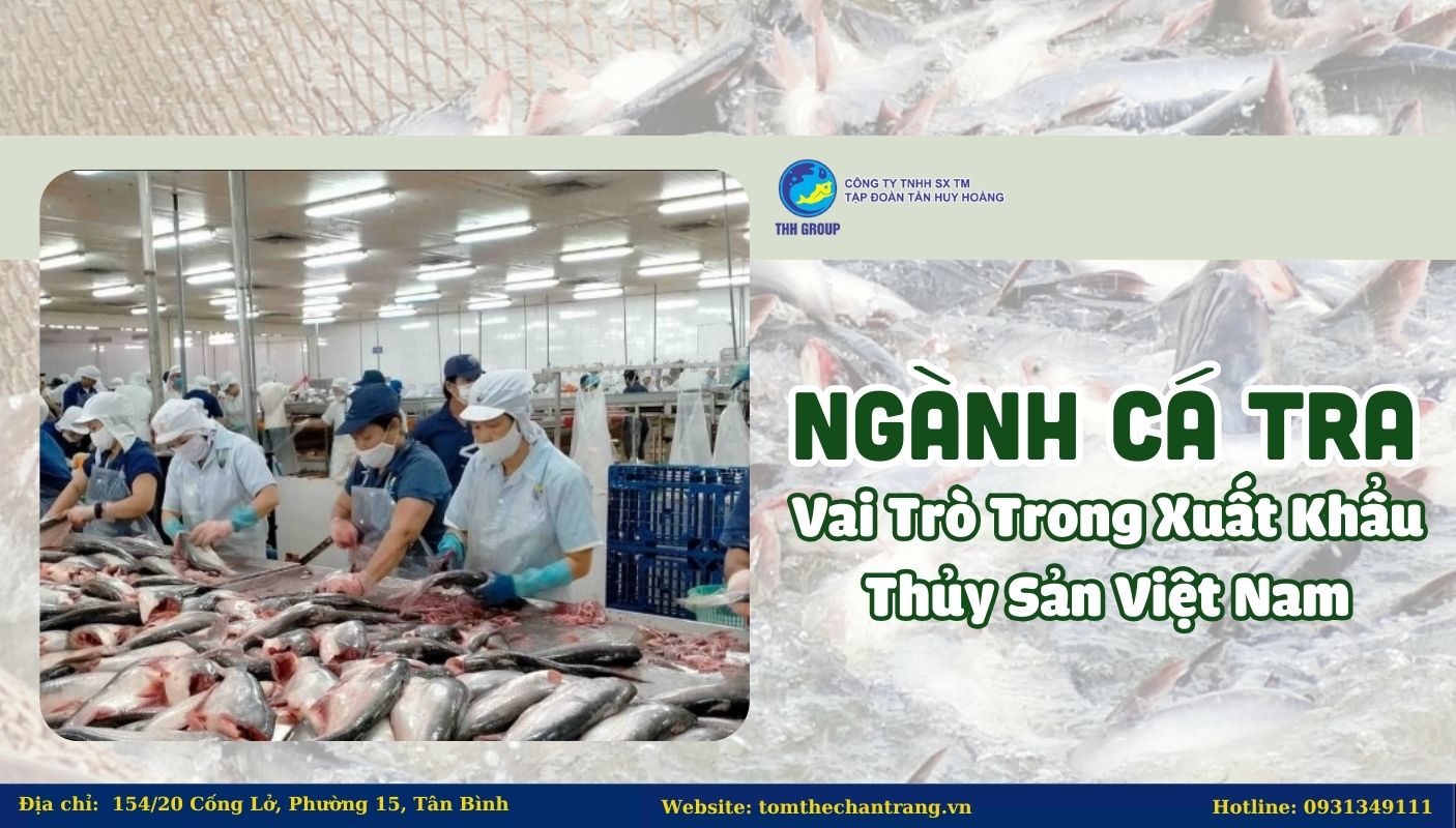 Ngành Cá Tra Và Vai Trò Trong Xuất Khẩu Thủy Sản Việt Nam