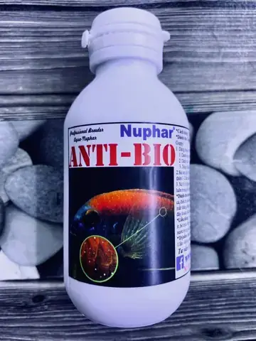 Thuốc Antibio Cho Cá Cảnh: Công Dụng, Hướng Dẫn Sử Dụng & Lưu Ý Quan Trọng Thuốc Antibio Cho Cá Cảnh: Công Dụng, Hướng Dẫn Sử Dụng & Lưu Ý Quan Trọng