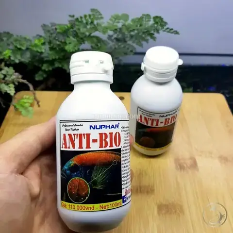Thuốc Antibio Cho Cá Cảnh: Công Dụng, Hướng Dẫn Sử Dụng & Lưu Ý Quan Trọng Thuốc Antibio Cho Cá Cảnh: Công Dụng, Hướng Dẫn Sử Dụng & Lưu Ý Quan Trọng