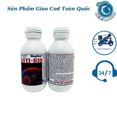 Thuốc Antibio Cho Cá Cảnh: Công Dụng, Hướng Dẫn Sử Dụng & Lưu Ý Quan Trọng Thuốc Antibio Cho Cá Cảnh: Công Dụng, Hướng Dẫn Sử Dụng & Lưu Ý Quan Trọng