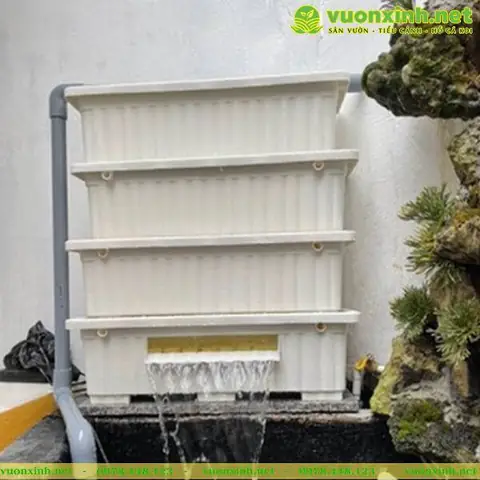 Bakki Dàn Mưa: Hướng Dẫn Chọn Lọc Và Lắp Đặt Hiệu Quả Cho Hồ Cá Bakki Dàn Mưa: Hướng Dẫn Chọn Lọc Và Lắp Đặt Hiệu Quả Cho Hồ Cá