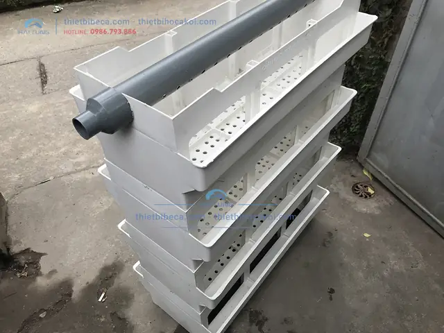 Bakki Dàn Mưa: Hướng Dẫn Chọn Lọc Và Lắp Đặt Hiệu Quả Cho Hồ Cá Bakki Dàn Mưa: Hướng Dẫn Chọn Lọc Và Lắp Đặt Hiệu Quả Cho Hồ Cá