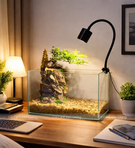 Bán Bể Cá Mini: Mẫu Đẹp, Giá Tốt & Địa Chỉ Mua Uy Tín