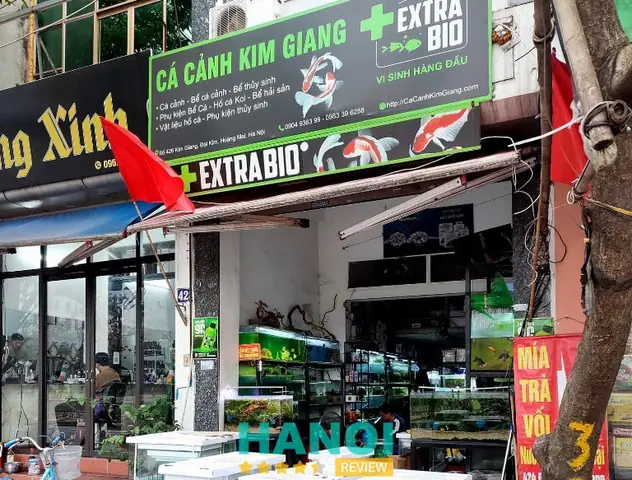 Bán Buôn Cá Cảnh: Nguồn Hàng Uy Tín, Giá Sỉ Tốt Nhất 2024