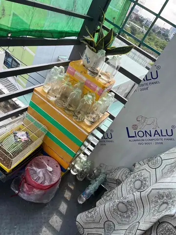 Bán Cá Lia Thia Đồng Tp.hcm: Nơi Mua Uy Tín & Giá Tốt Bán Cá Lia Thia Đồng Tp.hcm: Nơi Mua Uy Tín & Giá Tốt