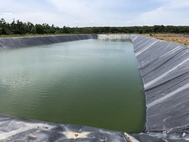 Bạt Lót Hồ Cá Hdpe: Giá Rẻ, Chống Thấm Tuyệt Đối & Ứng Dụng Nuôi Trồng