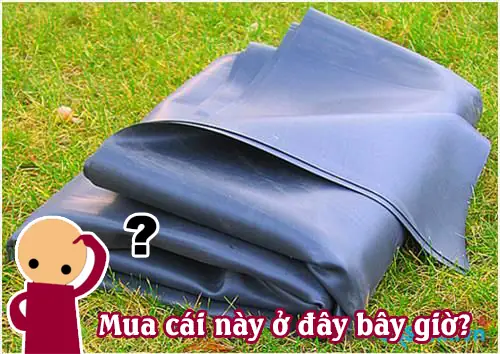 Bạt Lót Hồ Cá Hdpe: Giá Rẻ, Chống Thấm Tuyệt Đối & Ứng Dụng Nuôi Trồng