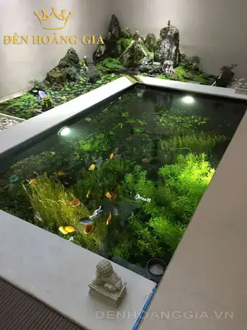Bể Cá Âm Sàn: Định Nghĩa, Lợi Ích Và Lưu Ý Quan Trọng Khi Thiết Kế Bể Cá Âm Sàn: Định Nghĩa, Lợi Ích Và Lưu Ý Quan Trọng Khi Thiết Kế