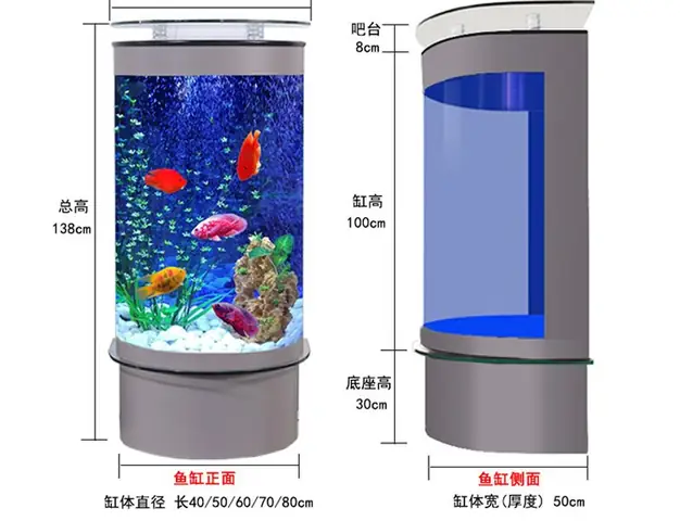 Bể Cá Bán Nguyệt: Mẫu Mã, Thiết Kế, Phong Thủy & Kinh Nghiệm Chọn Mua
