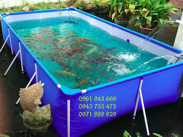 Bể Cá Bằng Bạt Hdpe: Hướng Dẫn Thi Công, Lựa Chọn & Lợi Ích Vượt Trội