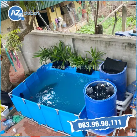 Bể Cá Bằng Bạt Hdpe: Hướng Dẫn Thi Công, Lựa Chọn & Lợi Ích Vượt Trội
