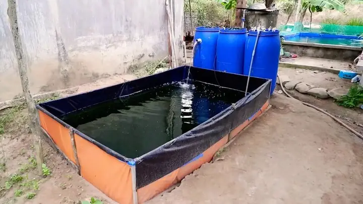 Bể Cá Bằng Bạt Hdpe: Hướng Dẫn Thi Công, Lựa Chọn & Lợi Ích Vượt Trội