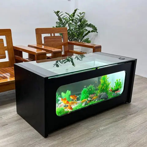 Bể Cá Cảnh Bàn Uống Nước: Top Mẫu Đẹp, Hướng Dẫn Chọn & Trang Trí