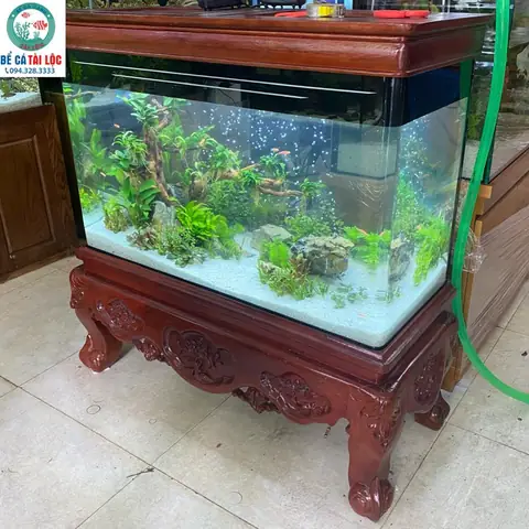 Bể Cá Cảnh Chân Gỗ: Mẫu Mã, Chất Liệu & Kinh Nghiệm Chọn Mua Bể Cá Cảnh Chân Gỗ: Mẫu Mã, Chất Liệu & Kinh Nghiệm Chọn Mua