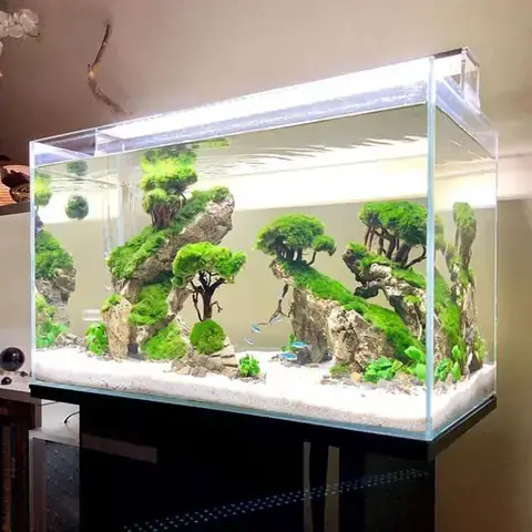 Bể Cá Cảnh Cỡ Lớn: Mẫu Mã, Kích Thước, Giá & Kinh Nghiệm Chọn Mua Tốt Nhất Bể Cá Cảnh Cỡ Lớn: Mẫu Mã, Kích Thước, Giá & Kinh Nghiệm Chọn Mua Tốt Nhất