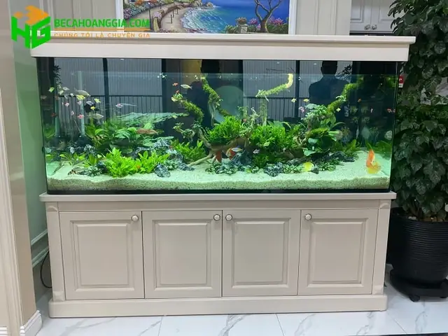 Bể Cá Cảnh Được Gọi Là Gì? Khám Phá Khái Niệm & Các Thuật Ngữ Liên Quan Bể Cá Cảnh Được Gọi Là Gì? Khám Phá Khái Niệm & Các Thuật Ngữ Liên Quan