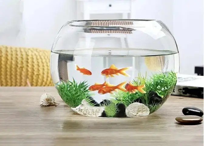 Bể Cá Cảnh Mini: Chọn Mua, Mẫu Đẹp Để Bàn Làm Việc & Hướng Dẫn Chăm Sóc Cơ Bản Bể Cá Cảnh Mini: Chọn Mua, Mẫu Đẹp Để Bàn Làm Việc & Hướng Dẫn Chăm Sóc Cơ Bản