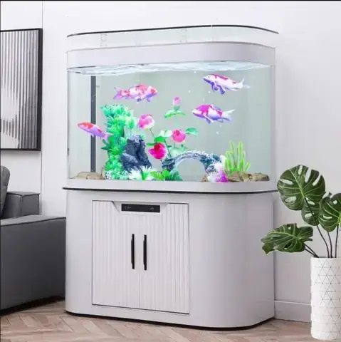 Bể Cá Cảnh Nhập Khẩu: Mẫu Đẹp, Cách Chọn Và Lưu Ý Quan Trọng