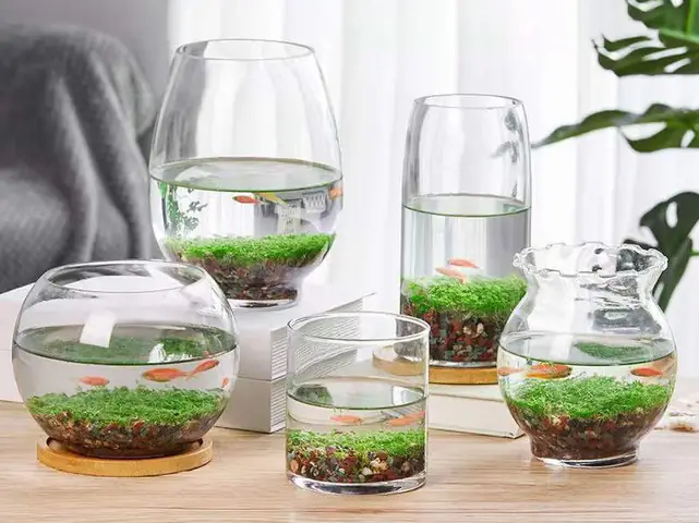Bể Cá Tiếng Anh Là Gì? Giải Đáp Từ Vựng & Thuật Ngữ Phổ Biến Bể Cá Tiếng Anh Là Gì? Giải Đáp Từ Vựng & Thuật Ngữ Phổ Biến