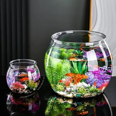 Bể Cá Chọi Mini: Chọn Mẫu Nào Tốt, Setup & Chăm Sóc Đơn Giản Cho Người Mới