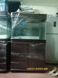 Bể Cá Đúc 80cm: Kích Thước, Đặc Điểm & Lưu Ý Chọn Mua Chuẩn