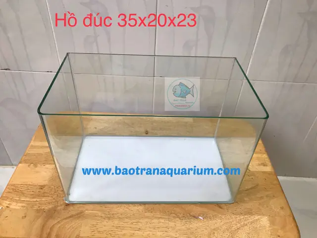 Bể Cá Đúc Giá Rẻ: Mẫu Mã, Kích Thước & Kinh Nghiệm Mua