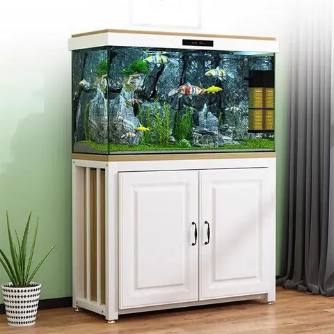 Bể Cá Khung Gỗ: Hướng Dẫn Chọn Mua, Lắp Đặt & Phong Thủy