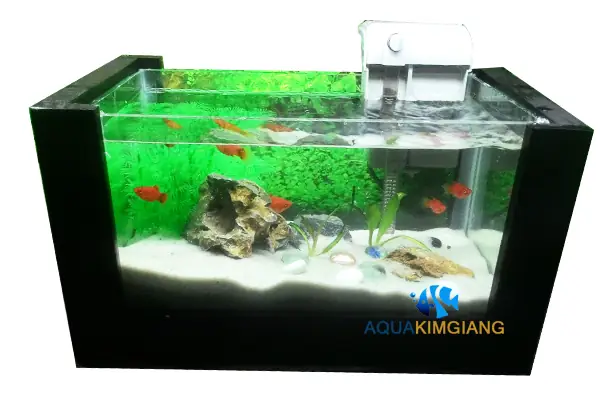 Bể Cá Khung Gỗ: Hướng Dẫn Chọn Mua, Lắp Đặt & Phong Thủy