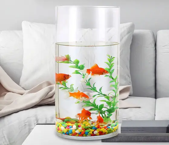 Bể Cá Mini Hình Trụ: Mẫu Đẹp, Kích Thước & Cách Chọn Cho Không Gian Sống
