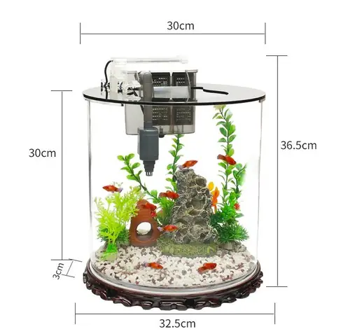 Bể Cá Mini Hình Trụ: Mẫu Đẹp, Kích Thước & Cách Chọn Cho Không Gian Sống