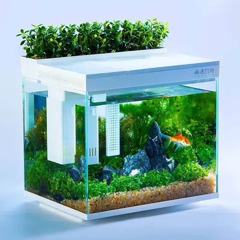 Bể Cá Mini Thông Minh: Chọn Mua & Trải Nghiệm Nuôi Cá Không Tốn Công Sức
