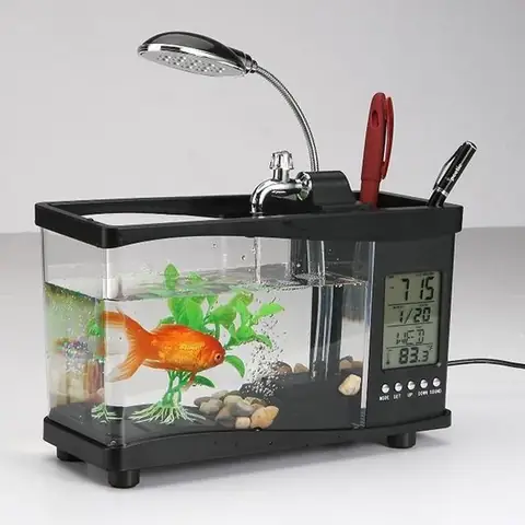 Top 10 Địa Chỉ Mua Bể Cá Mini Tphcm Uy Tín, Giá Tốt Nhất 2024