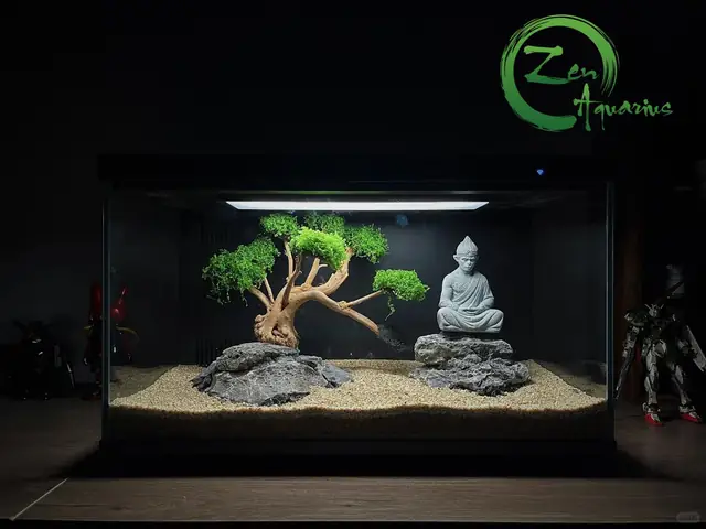 Bể Cá Nền Đen: Hướng Dẫn Lựa Chọn & Trang Trí Tối Ưu Chiều Sâu Cho Hồ Thủy Sinh