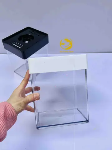 Bể Cá Nhựa Acrylic: Ưu Điểm, Đặc Điểm Và Kinh Nghiệm Chọn Mua