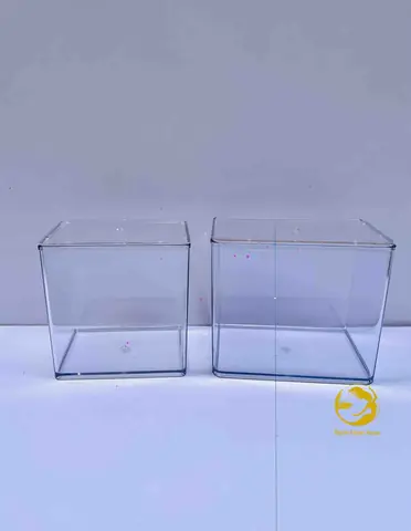 Bể Cá Nhựa Acrylic: Ưu Điểm, Đặc Điểm Và Kinh Nghiệm Chọn Mua