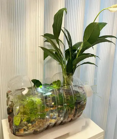 Hướng Dẫn Tái Chế Chai Nhựa Làm Bể Cá Mini Đơn Giản, Đẹp Mắt Tại Nhà