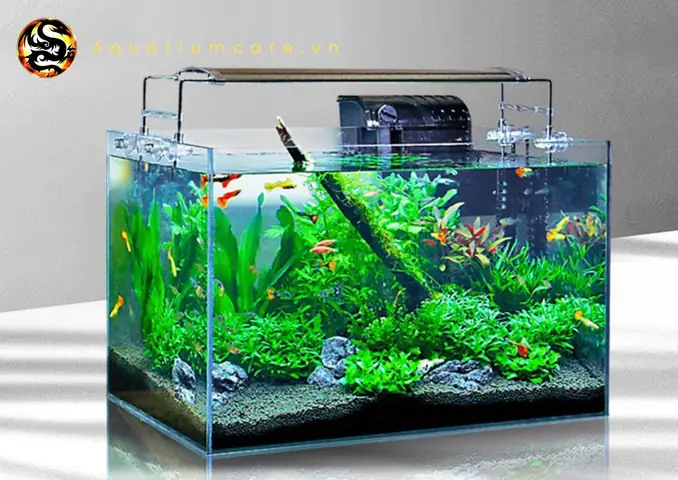 Bể Cá Thủy Sinh Đẹp: Ý Tưởng, Cách Setup & Lưu Ý Quan Trọng