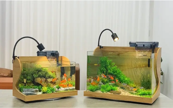 Bể Cá Thủy Sinh Đẹp: Ý Tưởng, Cách Setup & Lưu Ý Quan Trọng