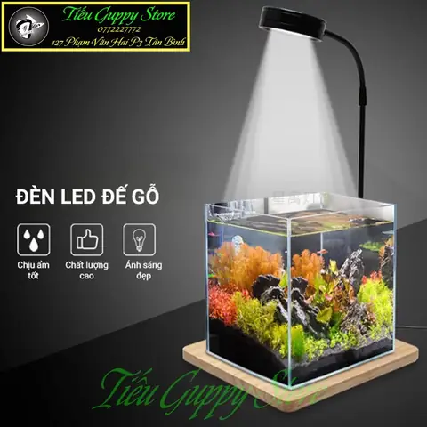 Bể Cá Thủy Sinh Mini Tphcm: Địa Chỉ, Mẫu Mã & Kinh Nghiệm Chọn Mua