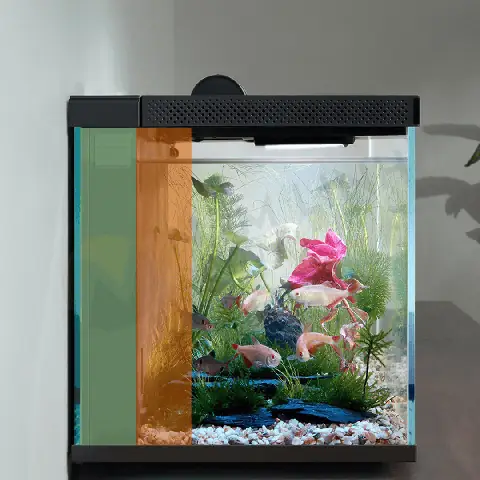 Bể Cá Thủy Sinh Mini Xiaomi Mijia Myg100: Đánh Giá Chi Tiết, Tính Năng & Hướng Dẫn