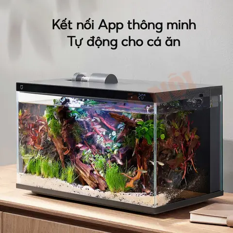 Bể Cá Thủy Sinh Mini Xiaomi Mijia Myg100: Đánh Giá Chi Tiết, Tính Năng & Hướng Dẫn