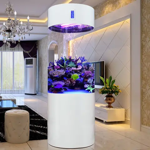 Bể Cá Trụ Tròn: Hướng Dẫn Chọn Mua, Tư Vấn Chi Tiết Và Các Mẫu Đẹp
