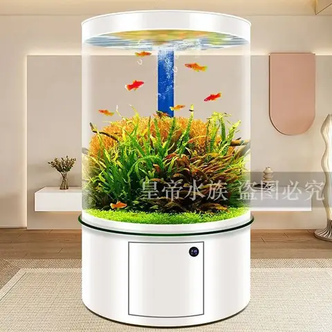 Bể Cá Trụ Tròn: Hướng Dẫn Chọn Mua, Tư Vấn Chi Tiết Và Các Mẫu Đẹp