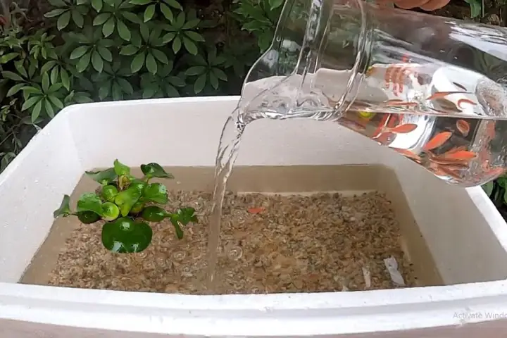 Hướng Dẫn Chi Tiết Cách Làm Bể Cá Từ Thùng Xốp Đẹp Như Thác Nước