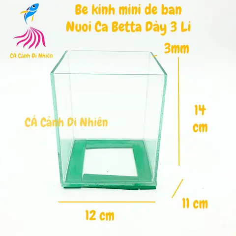 Bể Kính Nuôi Cá Betta: Kích Thước, Loại Tốt Nhất & Cách Chọn Cho Người Mới